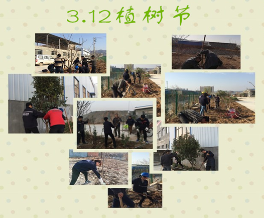 寶雞捷銳“迎春風，綠家園”植樹節(圖3)